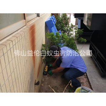 广宁投放灭鼠装置工程