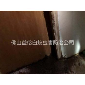 德庆房屋防治白蚁工程