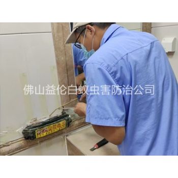 端州诱杀箱施药灭杀白蚁工程