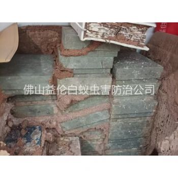 怀集防治白蚁危害工程